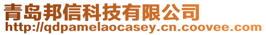 青島邦信科技有限公司