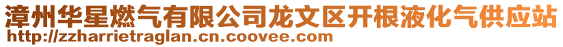 漳州華星燃氣有限公司龍文區開根液化氣供應站
