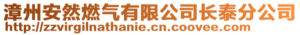 漳州安然燃?xì)庥邢薰鹃L泰分公司