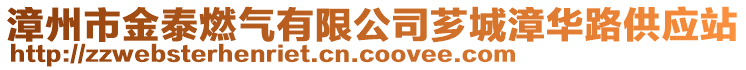 漳州市金泰燃?xì)庥邢薰舅G城漳華路供應(yīng)站