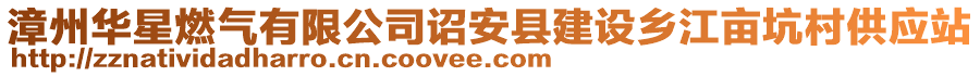 漳州華星燃?xì)庥邢薰驹t安縣建設(shè)鄉(xiāng)江畝坑村供應(yīng)站