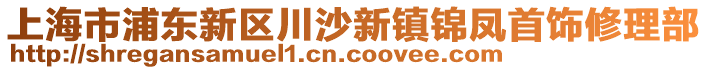 上海市浦東新區(qū)川沙新鎮(zhèn)錦鳳首飾修理部