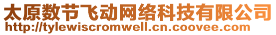 太原數(shù)節(jié)飛動(dòng)網(wǎng)絡(luò)科技有限公司