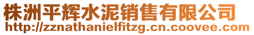 株洲平輝水泥銷售有限公司