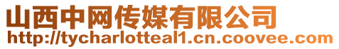 山西中網(wǎng)傳媒有限公司