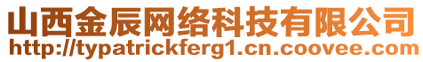 山西金辰網(wǎng)絡科技有限公司