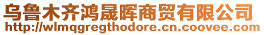 烏魯木齊鴻晟暉商貿有限公司