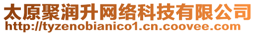 太原聚潤升網絡科技有限公司