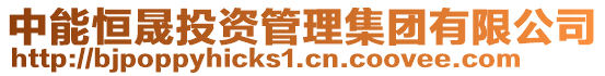 中能恒晟投資管理集團有限公司