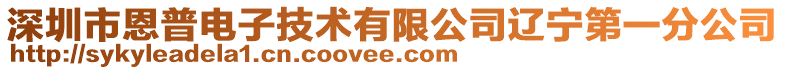 深圳市恩普電子技術有限公司遼寧第一分公司