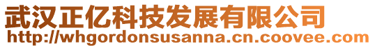 武漢正億科技發(fā)展有限公司