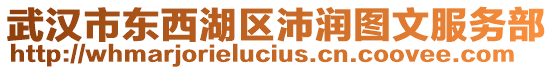 武漢市東西湖區(qū)沛潤圖文服務(wù)部