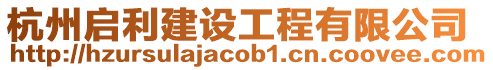 杭州啟利建設工程有限公司