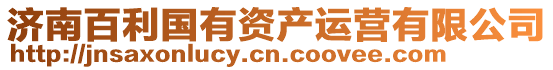 濟(jì)南百利國(guó)有資產(chǎn)運(yùn)營(yíng)有限公司