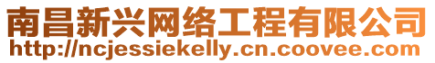 南昌新興網絡工程有限公司