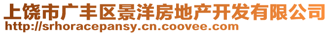 上饒市廣豐區(qū)景洋房地產(chǎn)開發(fā)有限公司