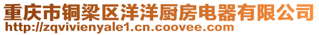 重慶市銅梁區洋洋廚房電器有限公司