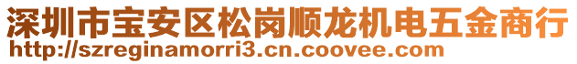 深圳市寶安區(qū)松崗順龍機電五金商行