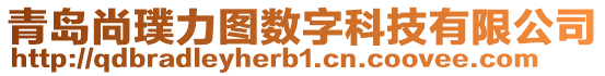 青島尚璞力圖數(shù)字科技有限公司