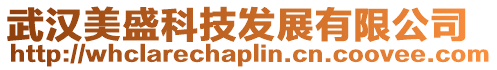 武漢美盛科技發展有限公司