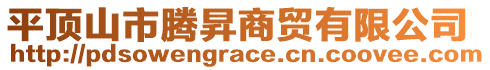 平頂山市騰昇商貿(mào)有限公司