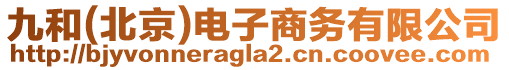 九和(北京)電子商務(wù)有限公司