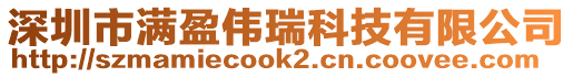 深圳市满盈伟瑞科技有限公司