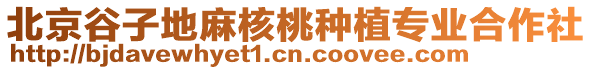 北京谷子地麻核桃種植專業(yè)合作社