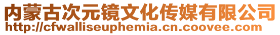 內(nèi)蒙古次元鏡文化傳媒有限公司