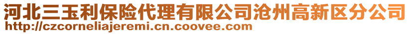 河北三玉利保險代理有限公司滄州高新區分公司