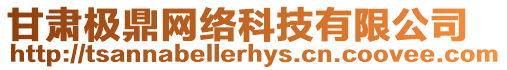 甘肅極鼎網絡科技有限公司