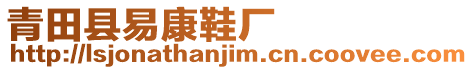 青田縣易康鞋廠