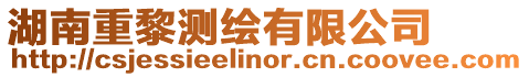 湖南重黎測繪有限公司