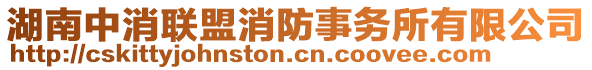 湖南中消聯盟消防事務所有限公司