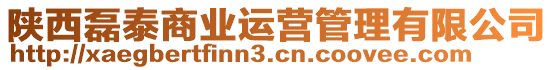 陜西磊泰商業運營管理有限公司