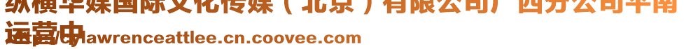 縱橫華媒國(guó)際文化傳媒(北京)有限公司廣西分公司平南
運(yùn)營(yíng)中