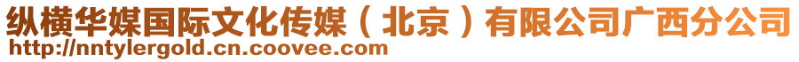 縱橫華媒國際文化傳媒(北京)有限公司廣西分公司