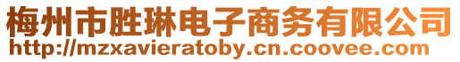 梅州市勝琳電子商務(wù)有限公司