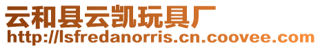 云和縣云凱玩具廠