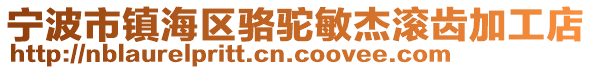 宁波市镇海区骆驼敏杰滚齿加工店