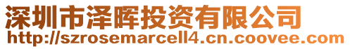 深圳市澤暉投資有限公司