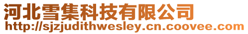 河北雪集科技有限公司