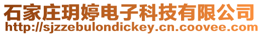 石家莊玥婷電子科技有限公司