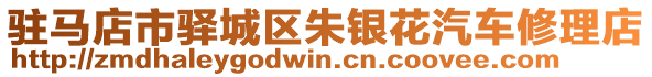 駐馬店市驛城區(qū)朱銀花汽車修理店