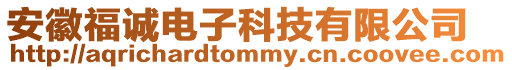 安徽福誠電子科技有限公司
