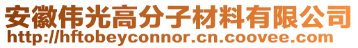 安徽偉光高分子材料有限公司