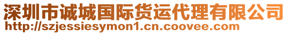 深圳市誠城國際貨運(yùn)代理有限公司