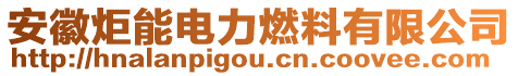 安徽炬能電力燃料有限公司