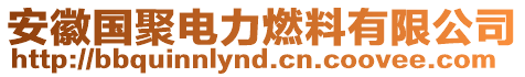 安徽國(guó)聚電力燃料有限公司