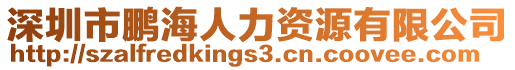 深圳市鵬海人力資源有限公司